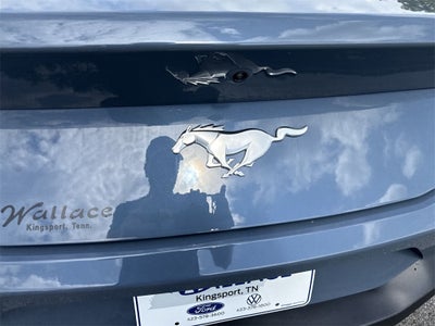 2025 Ford Mustang EcoBoost