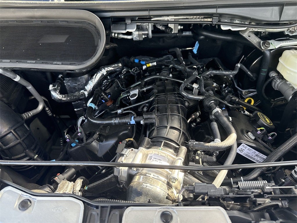 2025 Ford Transit-350 XLT