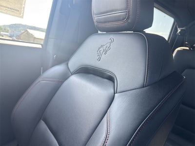 2025 Ford Bronco Stroppe Edition