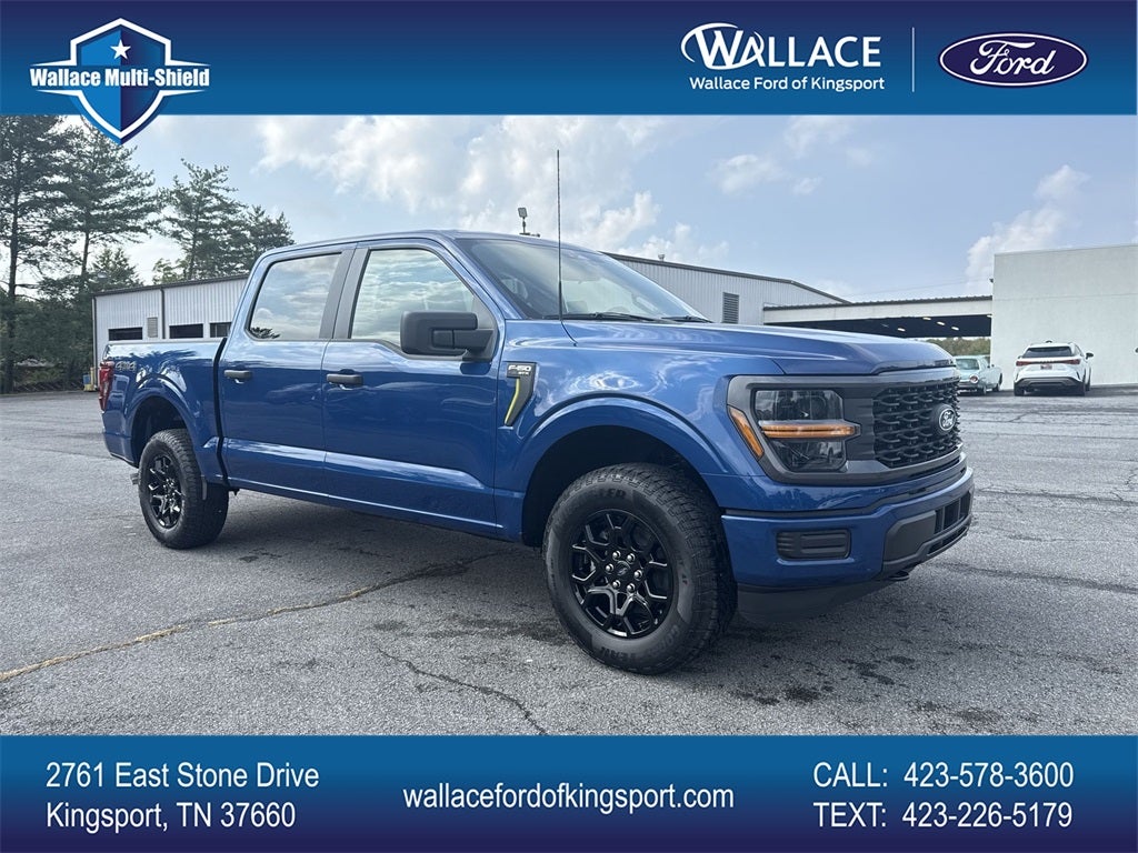 2025 Ford F-150 STX