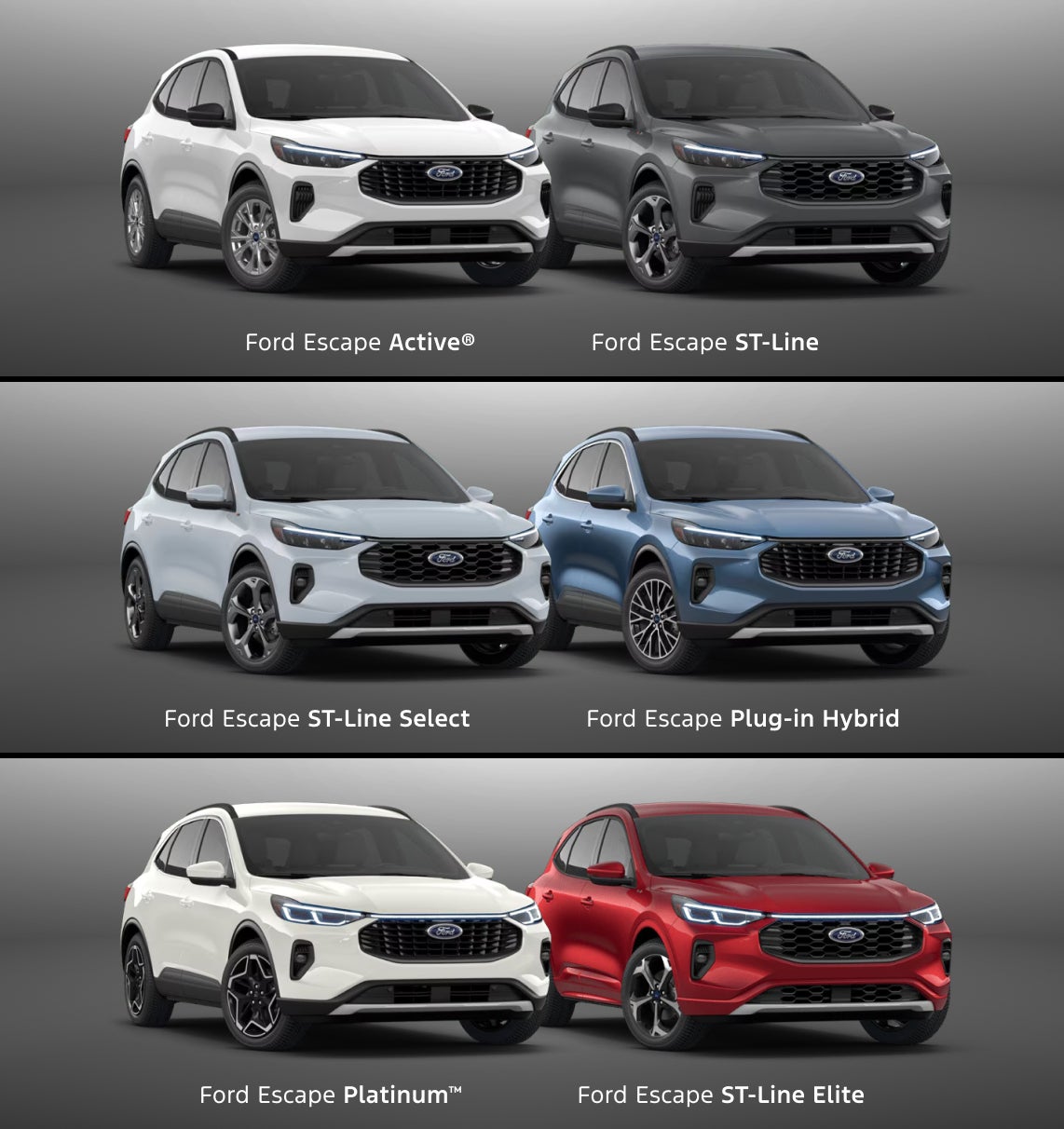 Ford Escape vs. Toyota RAV4 Trim Levels